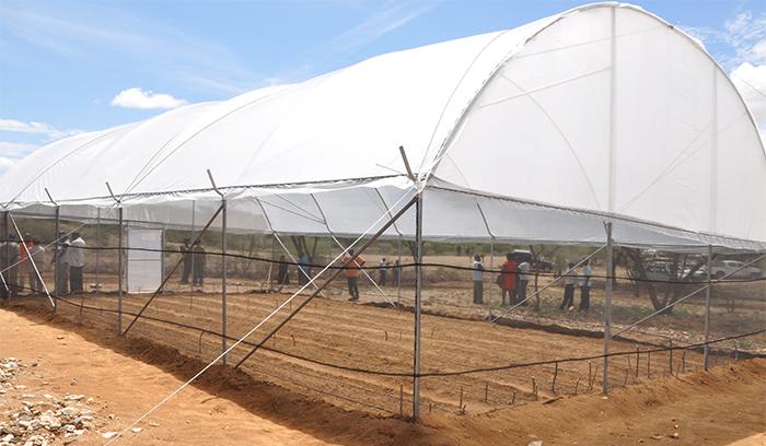ケニア 生計向上支援の一部として、IOMとFAOは協力して ビニールハウスを建設